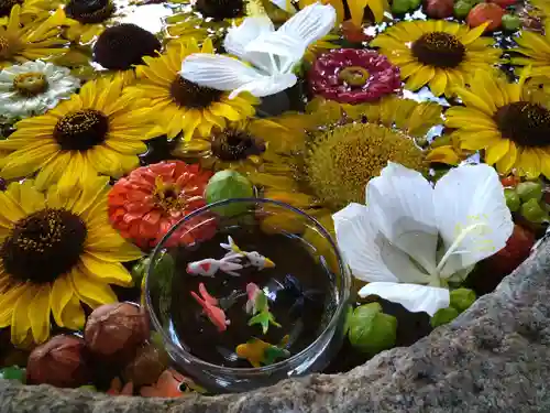 立志神社の手水舎