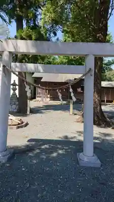 三嶋神社の鳥居