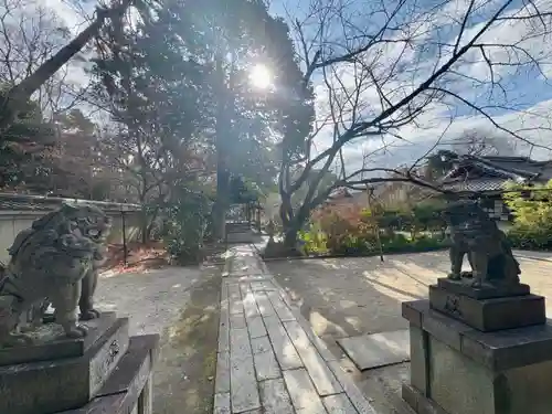 宗像神社(京都府)
