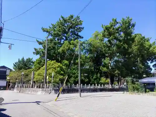 八王子神社の自然