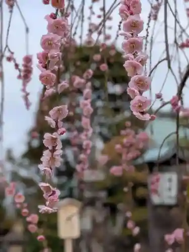 常性寺(東京都)