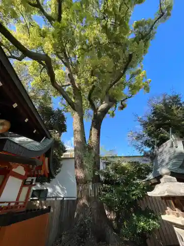 平野神社(京都府)