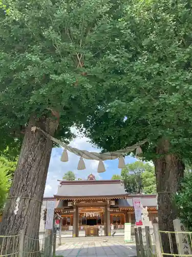 亀ケ池八幡宮の自然