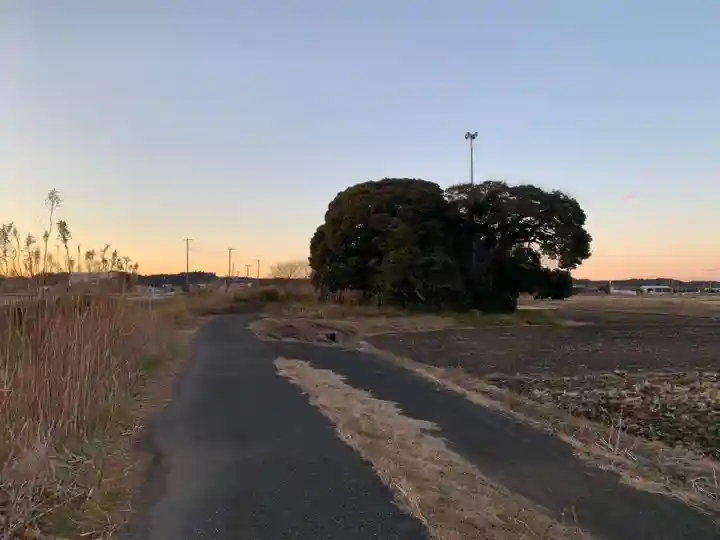 八幡神社(千葉県)