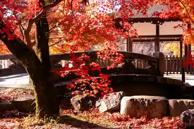 賀茂別雷神社（上賀茂神社）(京都府)
