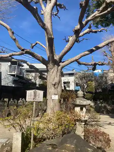 密蔵寺(神奈川県)