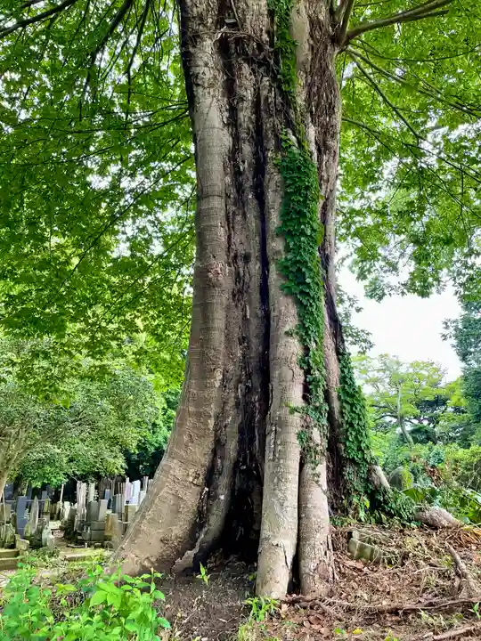 長生院(神奈川県)