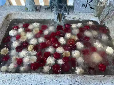 札幌諏訪神社の手水舎