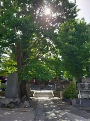 滝野川八幡神社(東京都)