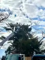 蚊里田八幡宮の{uncategorized: "未分類", other: "その他", undefined: "問題あり", building: "その他建物", grave: "お墓", sacred_gate: "鳥居", guardian: "狛犬", statue: "像", buddha: "仏像", history: "歴史", nature: "自然", garden: "庭園", animal: "動物", pagoda: "塔", temizu: "手水舎", mountain_gate: "山門・神門", sanctuary: "本殿・本堂", subordinate: "末社・摂社", art: "芸術", scenery: "景色", jizo: "地蔵", ema: "絵馬", goshuin: "御朱印", omikuji: "おみくじ", items: "授与品その他", amulet: "お守り", goshuincho: "御朱印帳", eats: "食事", festival: "お祭り", votive_dance: "神楽", shichigosan: "七五三参", wedding: "結婚式", experience: "体験その他", initially: "初詣", around: "周辺", anti_infection: "感染症対策"}