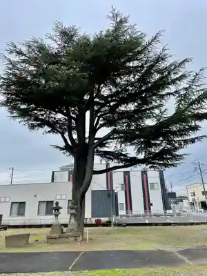 薬師堂(茨城県)