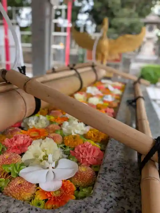 富岡八幡宮(東京都)