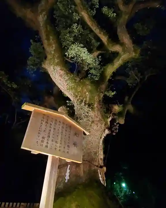 熱田神宮の自然