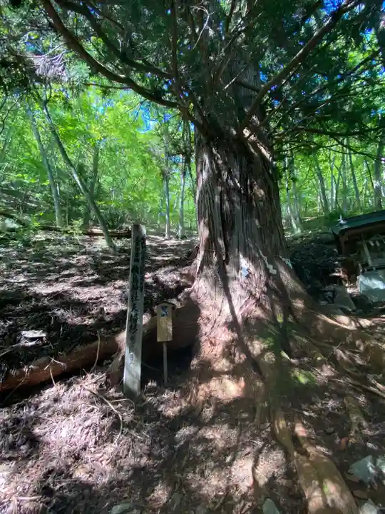 鵜鳥神社の自然