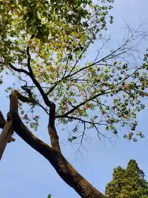 磐椅神社(福島県)
