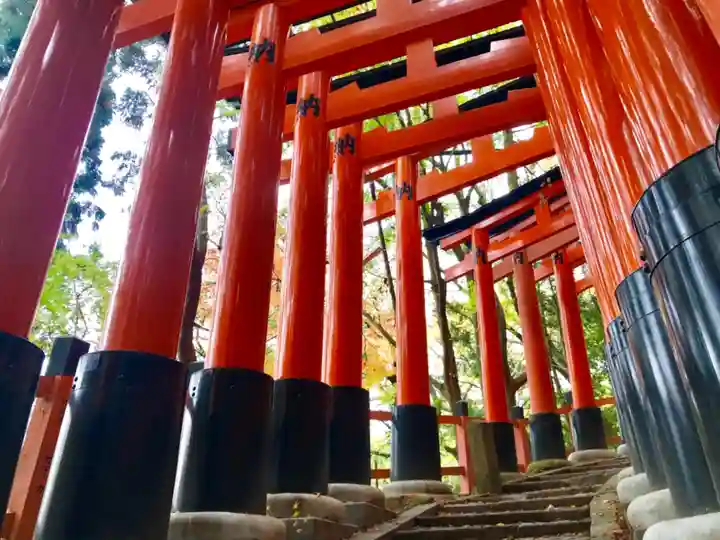 伏見稲荷大社の鳥居