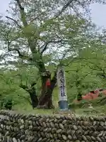 建勲神社の{uncategorized: "未分類", other: "その他", undefined: "問題あり", building: "その他建物", grave: "お墓", sacred_gate: "鳥居", guardian: "狛犬", statue: "像", buddha: "仏像", history: "歴史", nature: "自然", garden: "庭園", animal: "動物", pagoda: "塔", temizu: "手水舎", mountain_gate: "山門・神門", sanctuary: "本殿・本堂", subordinate: "末社・摂社", art: "芸術", scenery: "景色", jizo: "地蔵", ema: "絵馬", goshuin: "御朱印", omikuji: "おみくじ", items: "授与品その他", amulet: "お守り", goshuincho: "御朱印帳", eats: "食事", festival: "お祭り", votive_dance: "神楽", shichigosan: "七五三参", wedding: "結婚式", experience: "体験その他", initially: "初詣", around: "周辺", anti_infection: "感染症対策"}