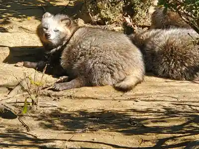 鑁阿寺(栃木県)