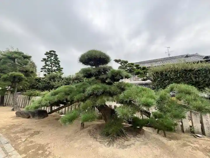 大聖観音寺(あびこ観音)(大阪府)