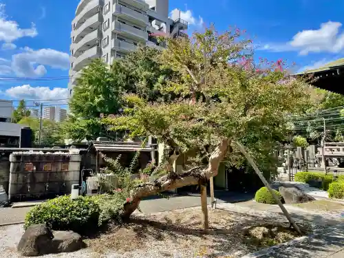 良泉寺(神奈川県)