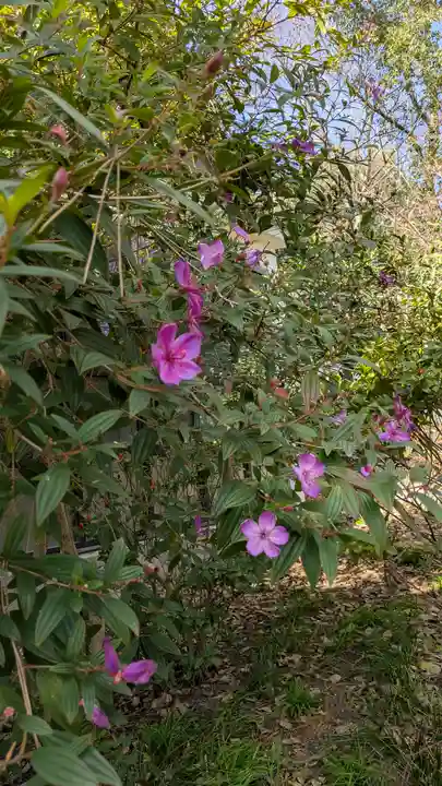 水堂須佐男神社(兵庫県)