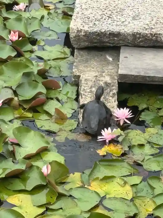 素盞嗚神社(兵庫県)