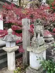 稗田神社の狛犬