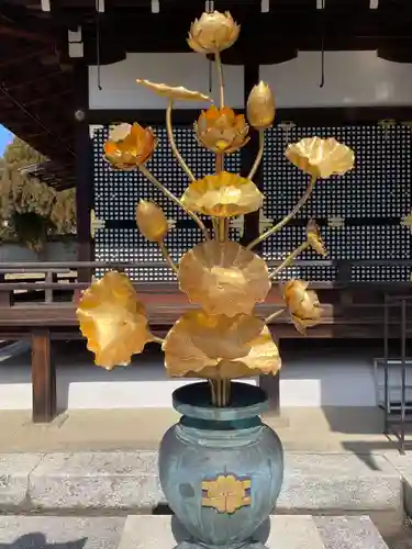 仁和寺(京都府)