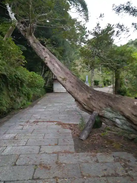 日運寺のその他建物
