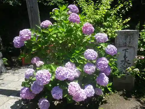 銭洗弁財天宇賀福神社の自然