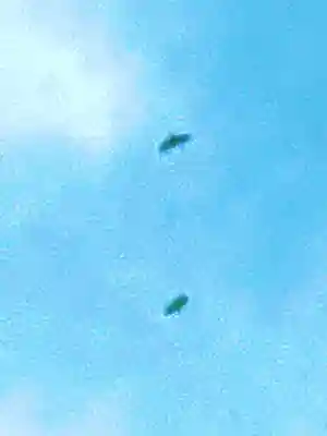 金嶽神社(茨城県)