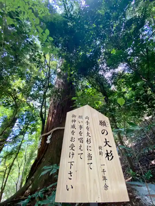 丹生川上神社(中社)(奈良県)