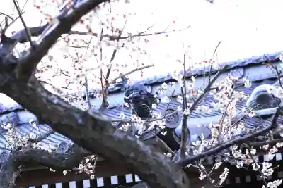 龍ケ崎八坂神社の{uncategorized: "未分類", other: "その他", undefined: "問題あり", building: "その他建物", grave: "お墓", sacred_gate: "鳥居", guardian: "狛犬", statue: "像", buddha: "仏像", history: "歴史", nature: "自然", garden: "庭園", animal: "動物", pagoda: "塔", temizu: "手水舎", mountain_gate: "山門・神門", sanctuary: "本殿・本堂", subordinate: "末社・摂社", art: "芸術", scenery: "景色", jizo: "地蔵", ema: "絵馬", goshuin: "御朱印", omikuji: "おみくじ", items: "授与品その他", amulet: "お守り", goshuincho: "御朱印帳", eats: "食事", festival: "お祭り", votive_dance: "神楽", shichigosan: "七五三参", wedding: "結婚式", experience: "体験その他", initially: "初詣", around: "周辺", anti_infection: "感染症対策"}