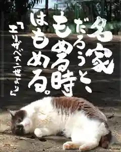 専念寺(大阪府)(2022年09月20日(火) 20時58分43秒投稿)