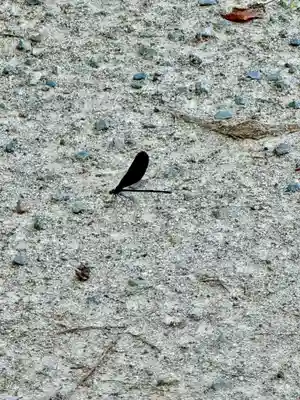 佐々尾神社(京都府)