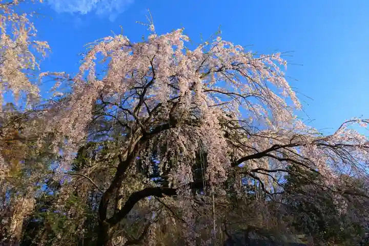 真照寺(福島県)