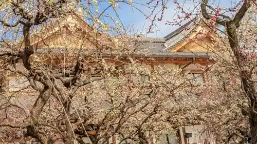 北野天満宮(京都府)