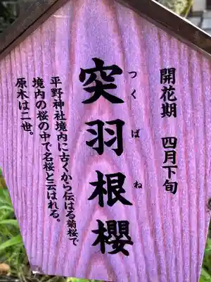 平野神社(京都府)