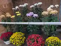 常陸國總社宮の自然