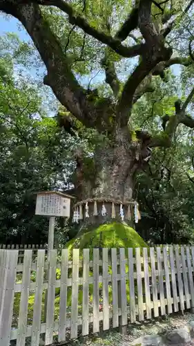 熱田神宮(愛知県)