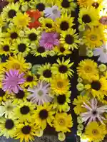 金峯神社(新潟県)