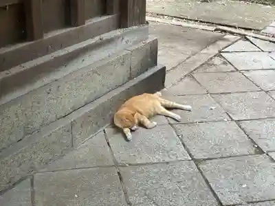 琴彈八幡宮(香川県)