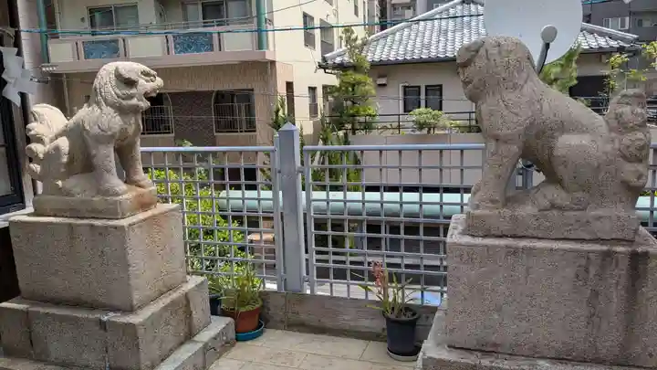 長崎大神宮の狛犬