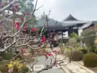 當麻寺中之坊の{uncategorized: "未分類", other: "その他", undefined: "問題あり", building: "その他建物", grave: "お墓", sacred_gate: "鳥居", guardian: "狛犬", statue: "像", buddha: "仏像", history: "歴史", nature: "自然", garden: "庭園", animal: "動物", pagoda: "塔", temizu: "手水舎", mountain_gate: "山門・神門", sanctuary: "本殿・本堂", subordinate: "末社・摂社", art: "芸術", scenery: "景色", jizo: "地蔵", ema: "絵馬", goshuin: "御朱印", omikuji: "おみくじ", items: "授与品その他", amulet: "お守り", goshuincho: "御朱印帳", eats: "食事", festival: "お祭り", votive_dance: "神楽", shichigosan: "七五三参", wedding: "結婚式", experience: "体験その他", initially: "初詣", around: "周辺", anti_infection: "感染症対策"}