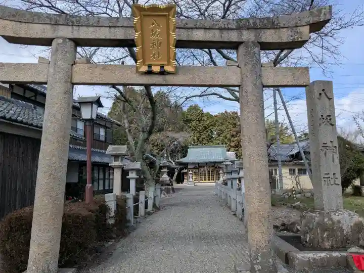 八坂神社の{uncategorized: "未分類", other: "その他", undefined: "問題あり", building: "その他建物", grave: "お墓", sacred_gate: "鳥居", guardian: "狛犬", statue: "像", buddha: "仏像", history: "歴史", nature: "自然", garden: "庭園", animal: "動物", pagoda: "塔", temizu: "手水舎", mountain_gate: "山門・神門", sanctuary: "本殿・本堂", subordinate: "末社・摂社", art: "芸術", scenery: "景色", jizo: "地蔵", ema: "絵馬", goshuin: "御朱印", omikuji: "おみくじ", items: "授与品その他", amulet: "お守り", goshuincho: "御朱印帳", eats: "食事", festival: "お祭り", votive_dance: "神楽", shichigosan: "七五三参", wedding: "結婚式", experience: "体験その他", initially: "初詣", around: "周辺", anti_infection: "感染症対策"}