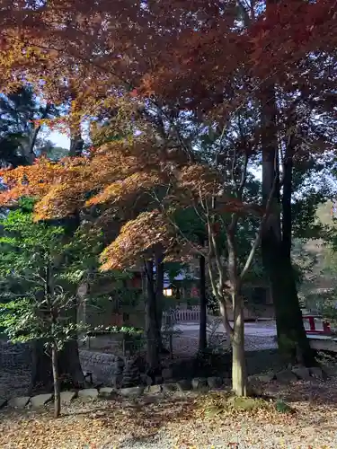 武蔵一宮氷川神社のその他建物