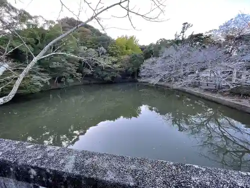 安房神社(千葉県)