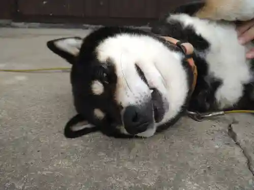 長福寺(長野県)