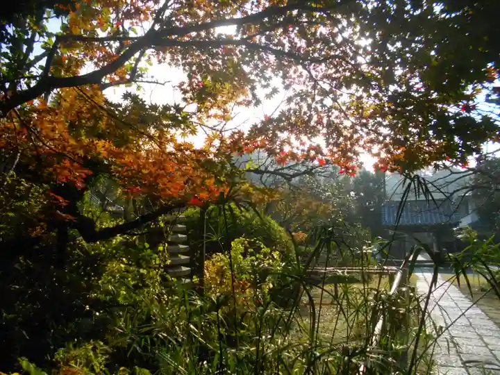 浄光明寺のその他建物
