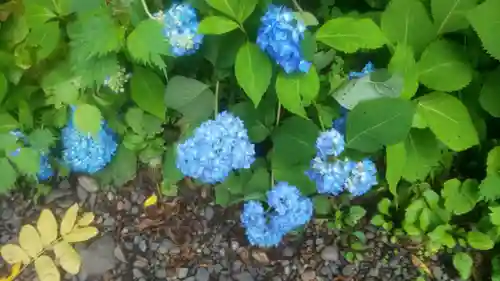 戸隠神社奥社(長野県)